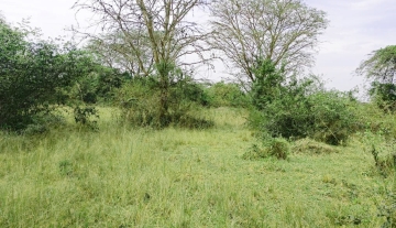 WhatsApp Image 2025-03-21 at 21.51.28 1.jpg